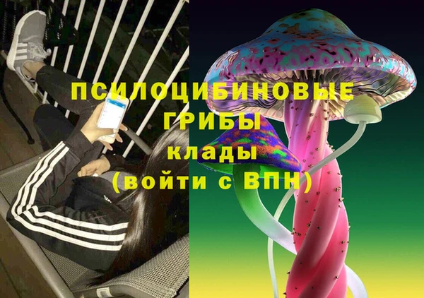 крисы Ладушкин