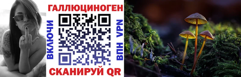 купить закладку omg маркетплейс Псилоцибиновые грибы Psilocybine cubensis Тюмень
