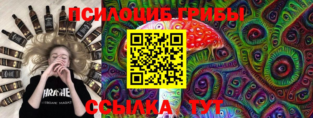 Галлюциногенные грибы Psilocybe  продажа наркотиков  Тюмень 