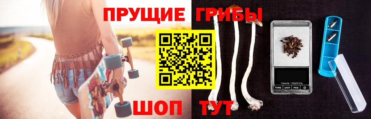 Тюмень  Галлюциногенные грибы Cubensis  Вход с VPN 